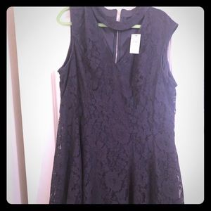 Lane Bryant Navy Lace Dress with Tags